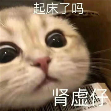 0088hysAgy1hbsnemvozzj30u00u076l.jpg