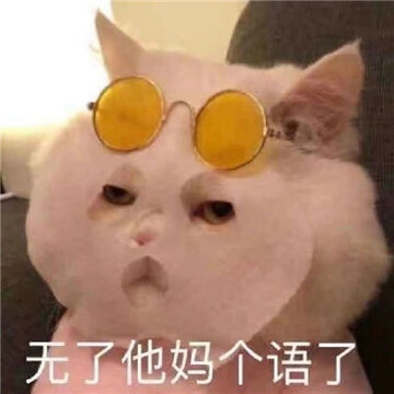 0088hysAgy1hbsneox2kaj30um0u0gnh.jpg