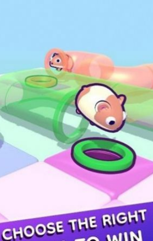 管道仓鼠(TubeHamster) 管道仓鼠(TubeHamster)