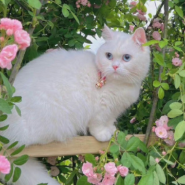 ��ÿ��ĵĸ���ǩ���̾� �����Լ��������ǩ��