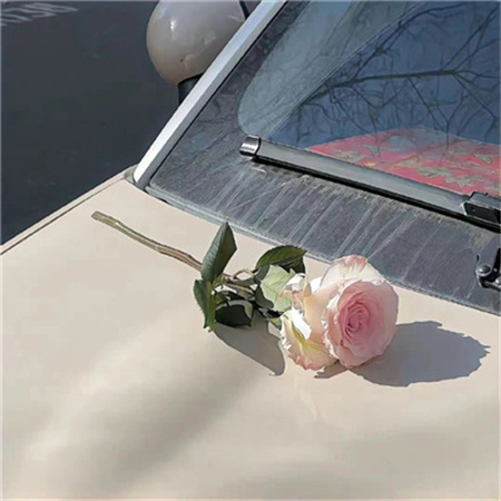 ΢�ű���ͼ2023�¿��ȫ ���õ�С������������