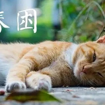 �������ĸ�Ц˵˵ ���췸������Ĭ˵˵