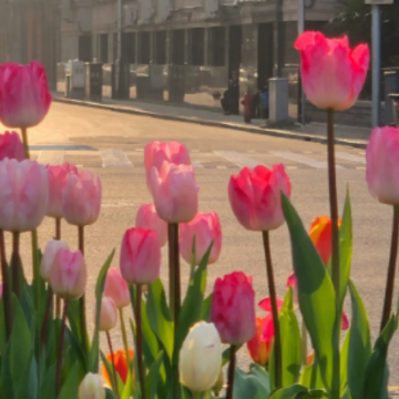 �о���������ǩ���̾� ��ѡ�����ö���ǩ��