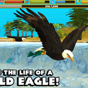 ��ӥģ����(Eagle Sim)