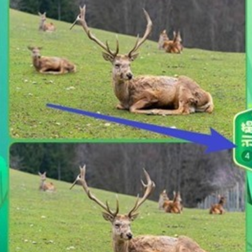 ħ������ս�����