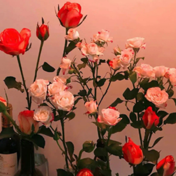 ���ܳɹ���ϲ��˵˵ �ɹ�֮��Ŀ��ľ���