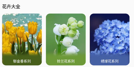 花草录app 花草录app