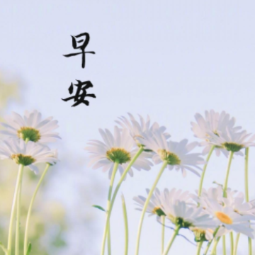 精致的早安文案给自己正能量 读完元气满满的早安语录 精致的早安文案给自己正能量 读完元气满满的早安语录