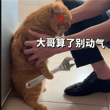 �����ֺܿ��ֵı���ϼ� û��һ�ű�����Ƕ����