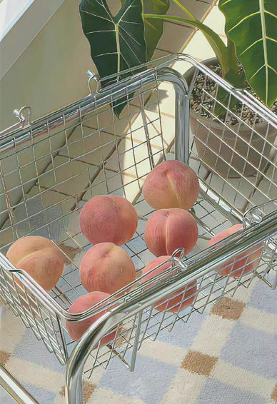 �治�������ʱ�ֽ���ºϼ� ���ʺÿ������ı�ֽ203