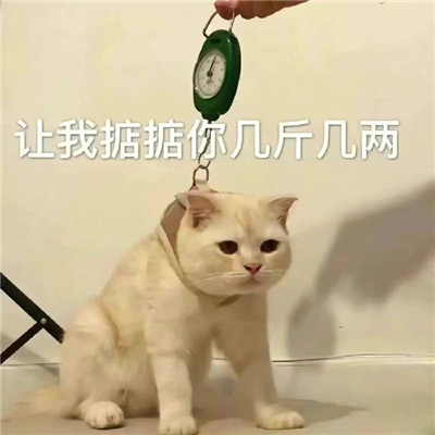 ϡ���ֺܺ��õı������� ���ҵ���㼸�Ｘ��