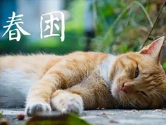 �������ĸ�Ц˵˵ ���췸������Ĭ˵˵
