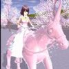 ӣ����У׽�Բ�v1 ��׿��
