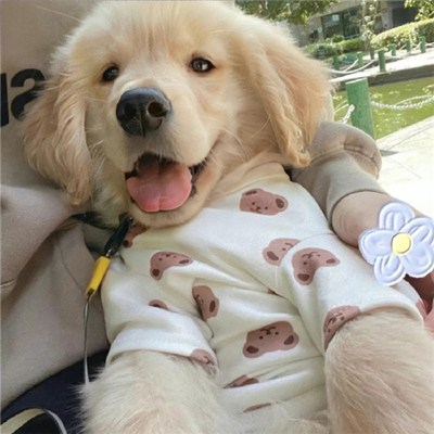 ���Գ��ڲ�����΢�ű���ͼ ��ֵ�����ߵ�С�ڱ���ͼ