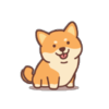 PetWalk Appv1.0.9 ��׿��
