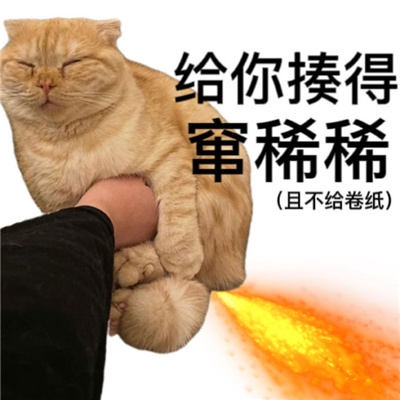�ܿ���������õĶ��˱��� ������ô�ϡϡ