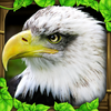 ��ӥģ����(Eagle Sim)v1.2 ���°�
