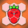 ����������(Hexa Art)v1.1 ��׿��