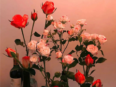 ���ܳɹ���ϲ��˵˵ �ɹ�֮��Ŀ��ľ���