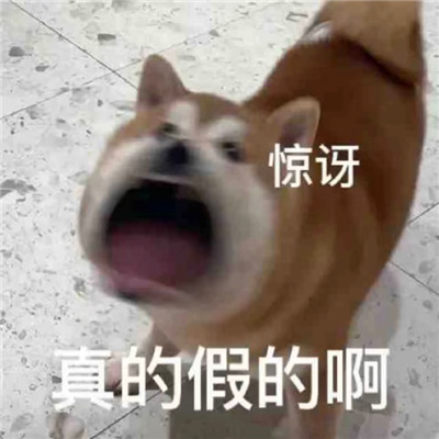 2023���°�����̵ı��� �����ɱر��ı���