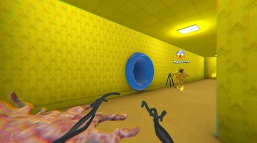 ���Ҷ�����ܣ�Hide in The Backroom��v0.7.4 ��׿��