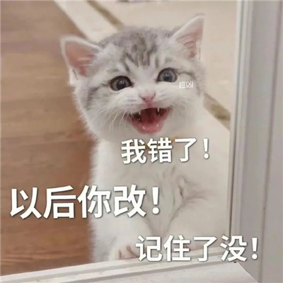 ����ı�������°� �������໶�ֵı���ϼ�