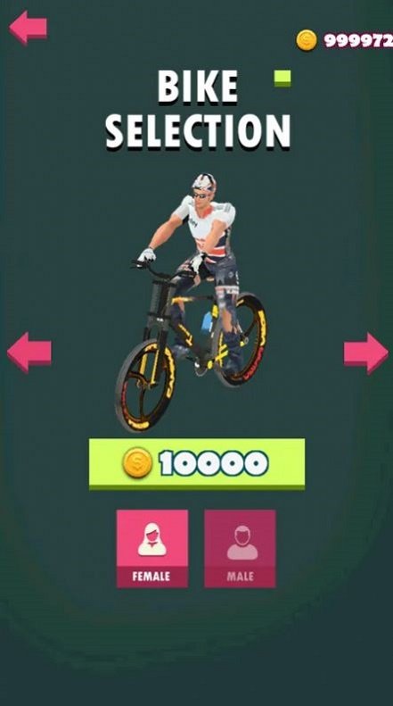 BMX�����ת��BMX Flip Madness��v1.0 ���°�