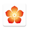 ���ۼ�appv1.0.12 �ٷ���