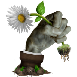 PvZ��padдʵ��v1.0.0 ���İ�
