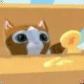 è��ģ����Cat Box Feverv1.0.0 ��׿��
