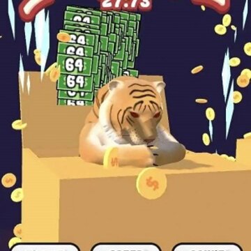 è��ģ����Cat Box Fever
