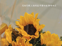 ����һ�������������޸�˵˵ ������һ˲�����˵˵