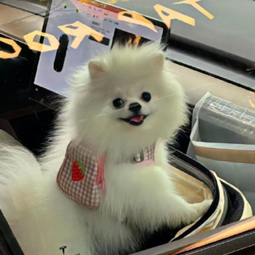 �ز�ס������˵˵ ���������ʧ�ܵľ���