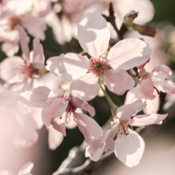 �����˼�һ���˸��İ� �����˼�һ�˶����İ�