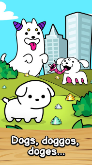狗的进化 狗的进化