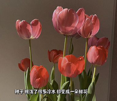 ���¾��õ����������ǳ� ���������ŵ�����