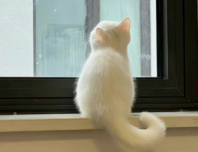 �������ѵ����Զ̾� �����ĺ����Ѿ�����¼