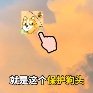 保护狗头 保护狗头