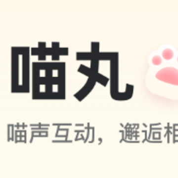 ����APP