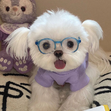 ׷�����ɵ������ǳ� ���ɺ��ŵ��ǳ�