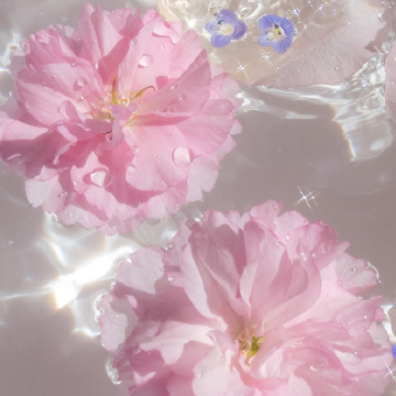 ������һ�����ɵ�˵˵ ���һ������Ψ������