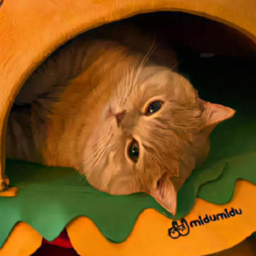 ����������ǩ����ק������ ����ţ�Ƴ�ק�ĸ���ǩ��