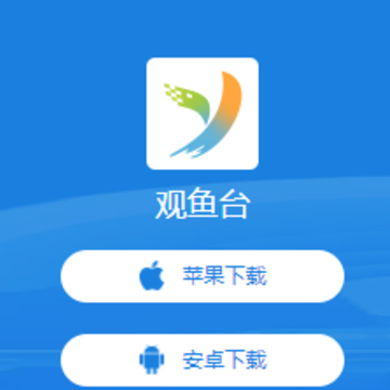 ����̨app
