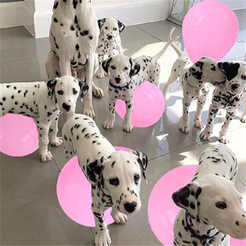 ��������ֵ���ߵ���ͼins�� ��Ȼ���൫�һ�����ѡ����̵�����
