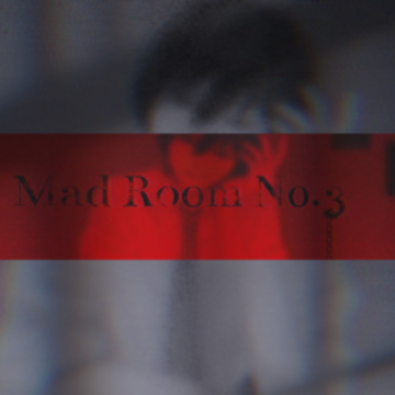 Mad Room No.3 Mad Room No.3