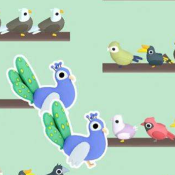 ����԰����3DZoo Sort 3D