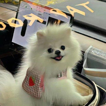 ������ҫ����������Ц����һ�� �ʺϿ��ڵ���Ϸ�ǳ�
