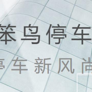 ����ͣ��app