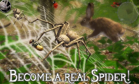 �ռ�֩��ģ����2(Spider Colony Simulation 3D)