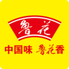 Ӫ������appv4.1.16764(LH) ���°�